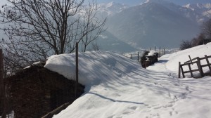 20150212_124259 